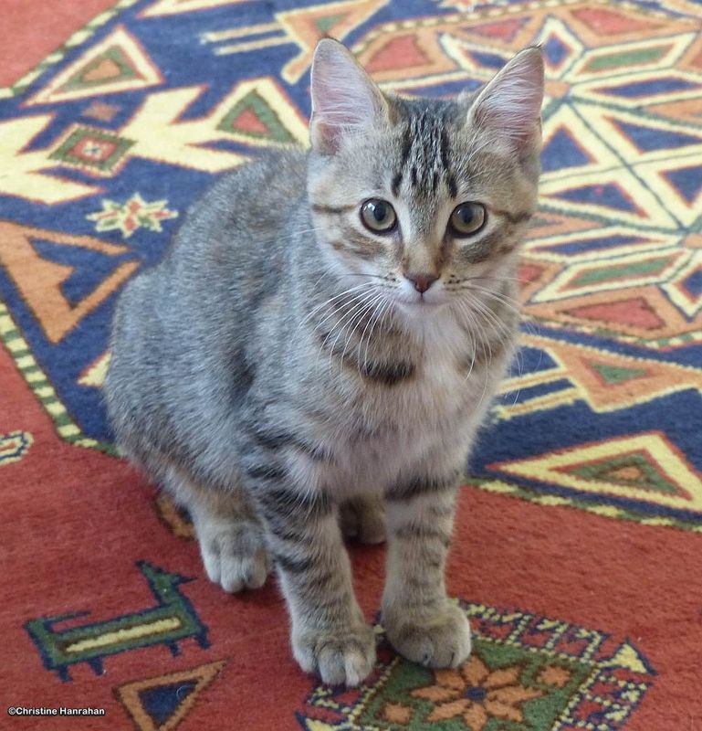 Staying still  for a moment