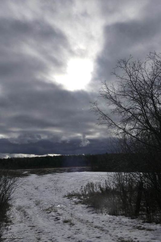 Today's walk