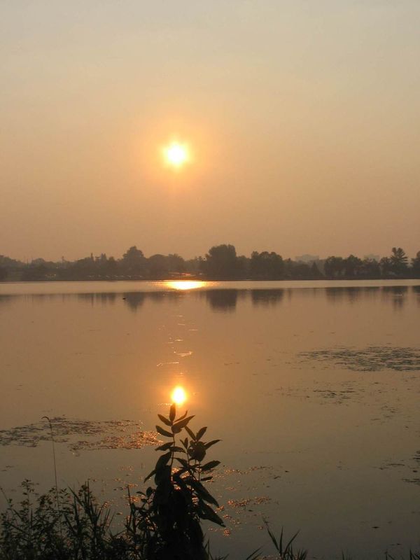 Sunrise