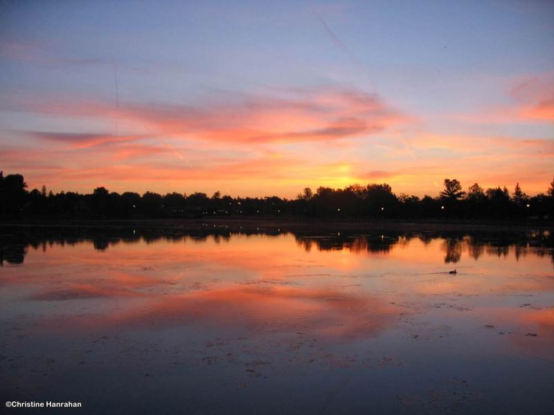 Sunrise