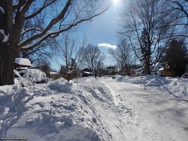 After the snowstorm