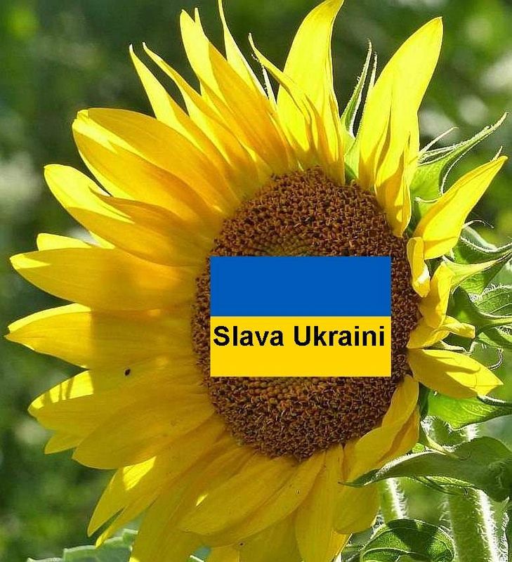 Slava Ukraini