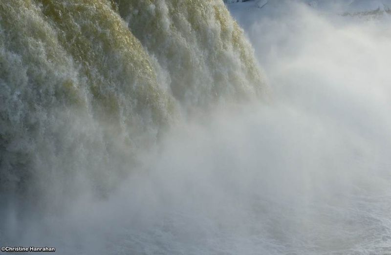 The power of water