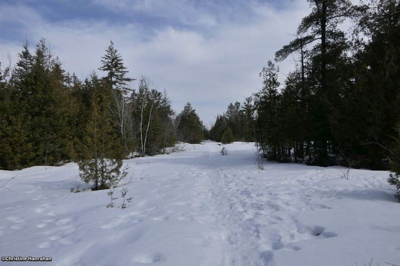 Today's walk