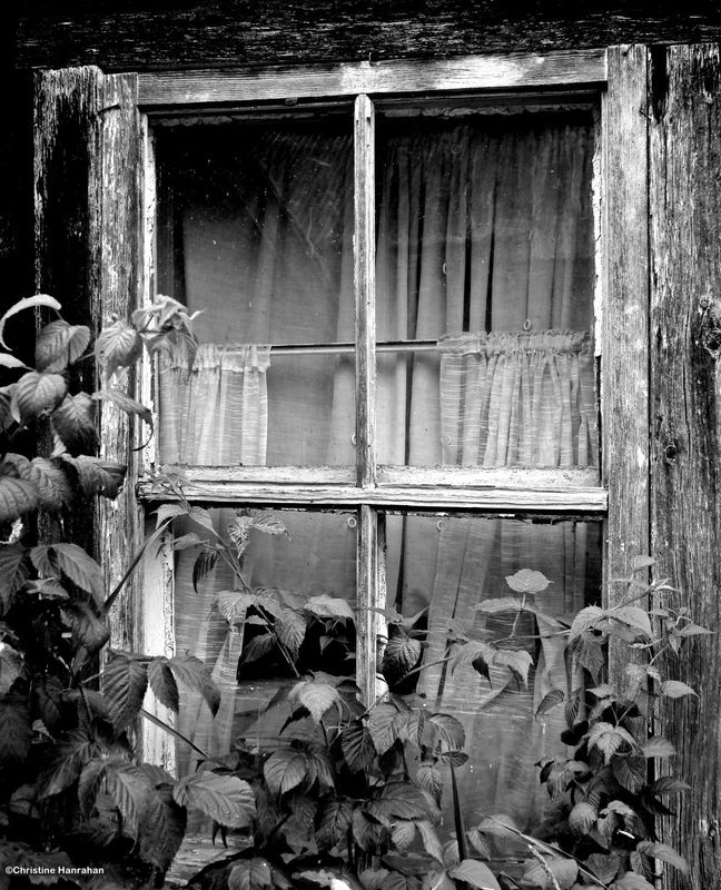 Old farmhouse