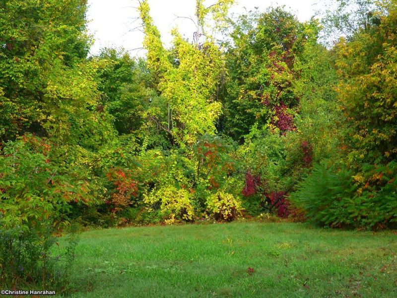Autumn 2025