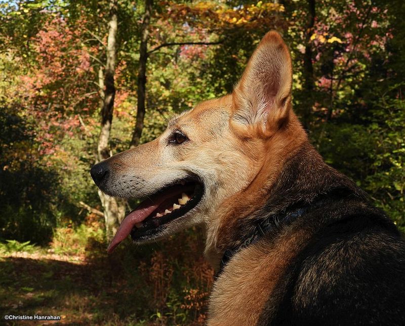 Autumn 2025