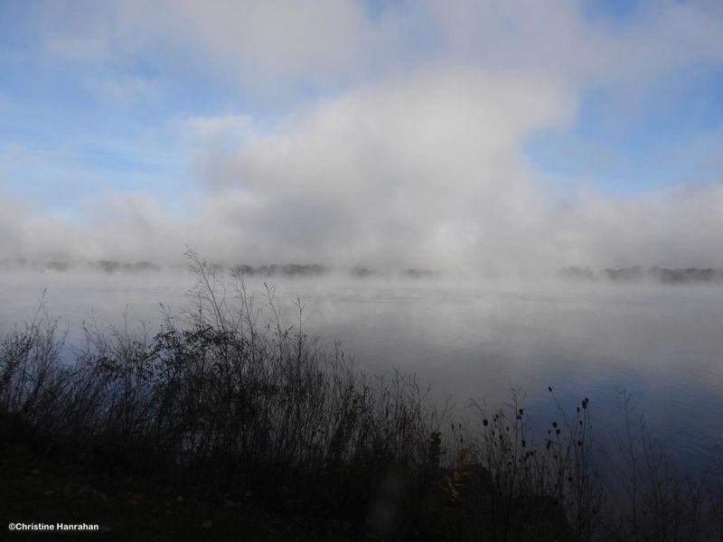Mist - lifting
