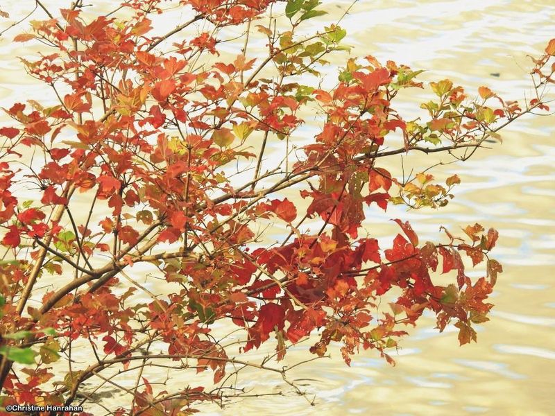 Autumn 2025