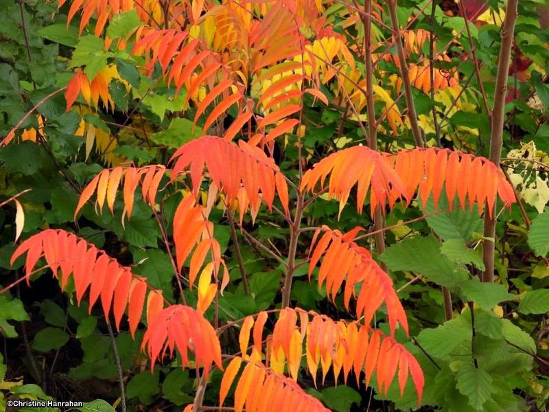 Autumn 2025