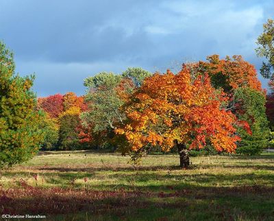 One day last autumn