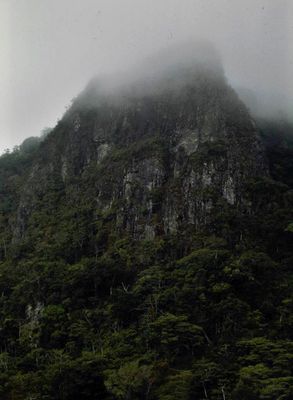 g13/50/883250/3/173509458.08a72762.JPEG