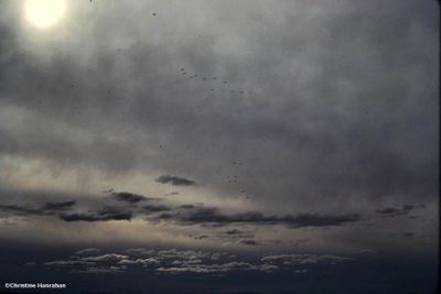 g13/50/883250/3/174168180.2da677f4.JPEG