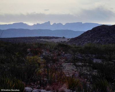 Big Bend park