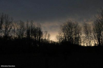 g13/50/883250/3/174467905.6354a450.JPEG