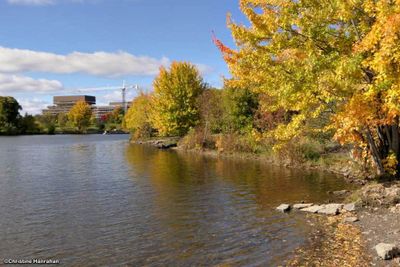 Along the Rideau River