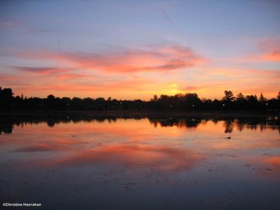 Sunrise