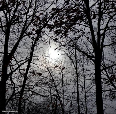 Pale sun