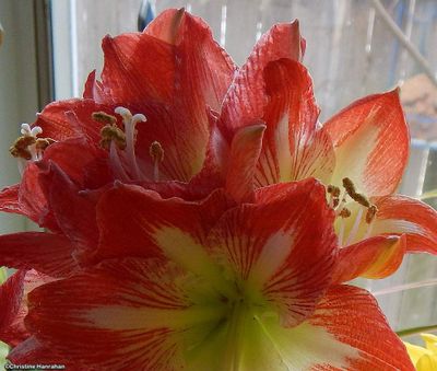 g13/50/883250/3/175339168.e9036ef1.JPEG