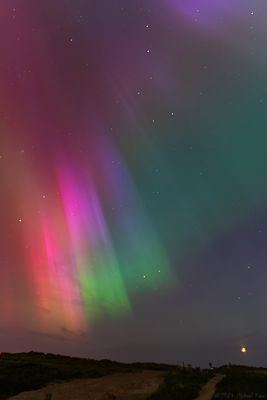 noorderlicht - northern lights