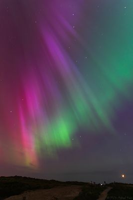noorderlicht - northern lights