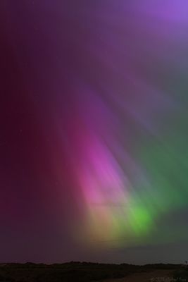 g13/50/890750/3/174966037.a238d80d.JPEG