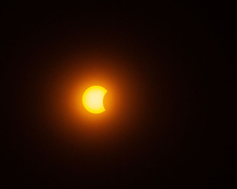 IMG_2704.jpg