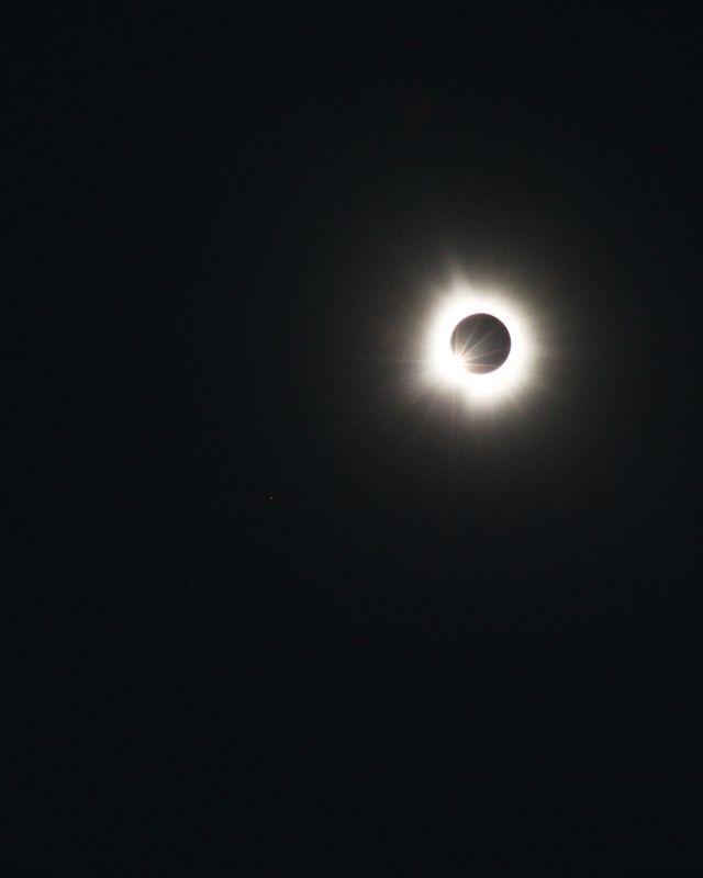 IMG_7878.JPG