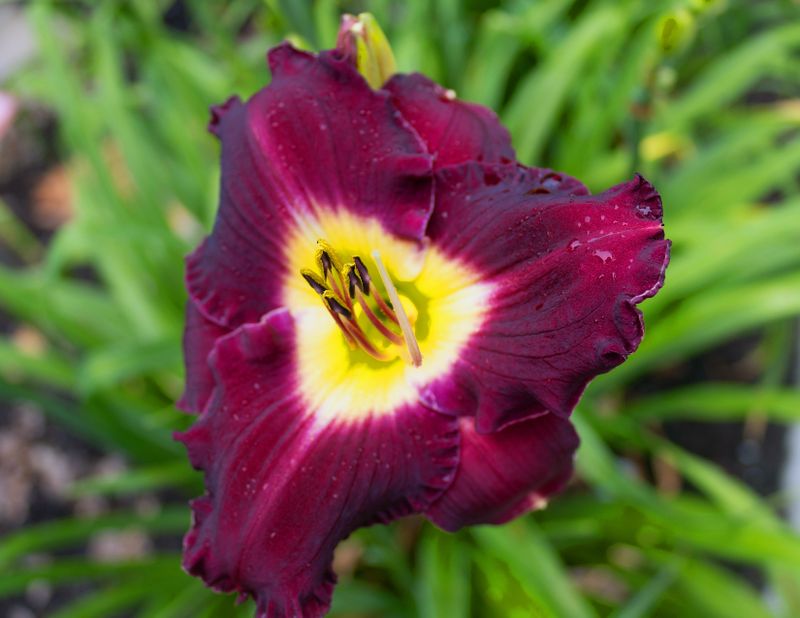 707A0927.jpg