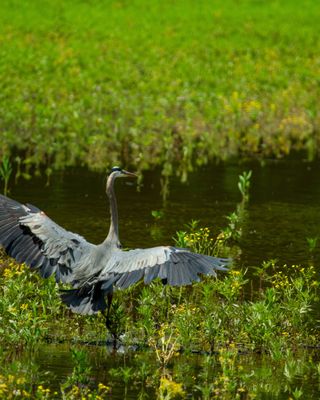 IMG_2923.jpg