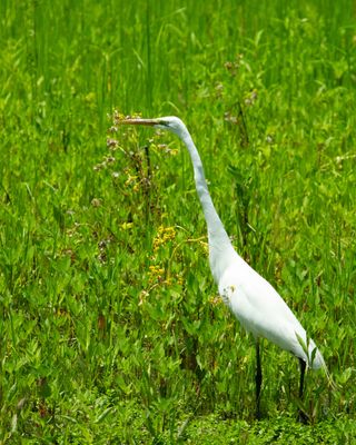IMG_2959.jpg