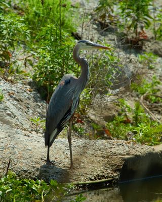 IMG_2903.jpg