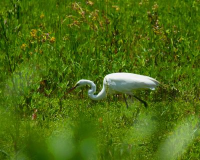 IMG_2956.jpg