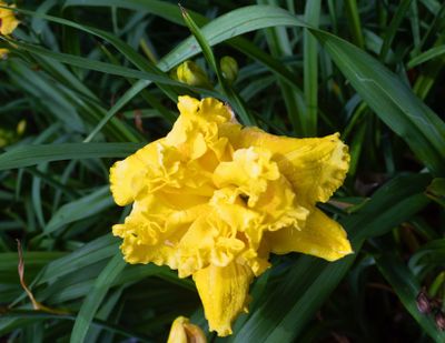 707A0940.jpg