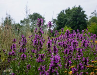 707A0946.jpg