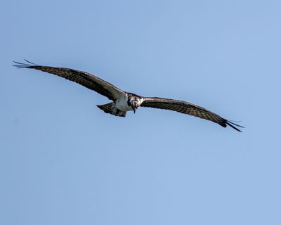 707A1118.jpg