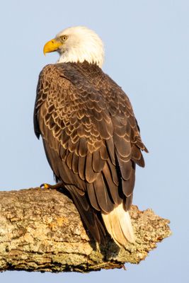 707A1652.jpg