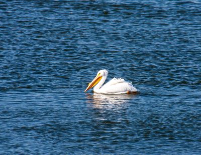 IMG_7986.jpg
