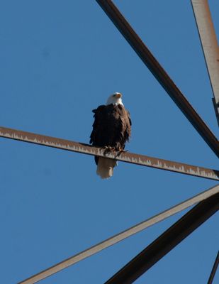 IMG_7993.jpg