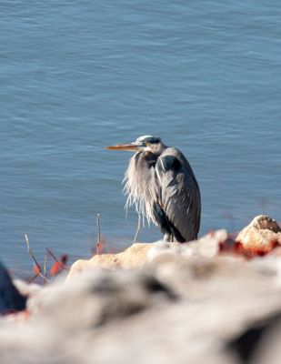 IMG_8000.jpg
