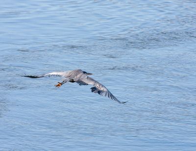 IMG_8003.jpg