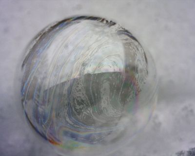 IMG_8033.jpg