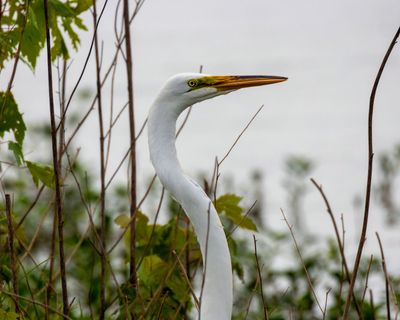 707A2338.jpg
