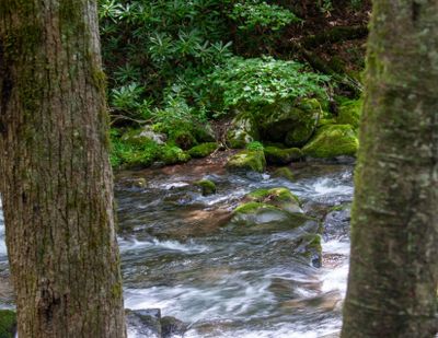 IMG_8114.jpg