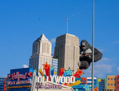 IMG_8181.jpg