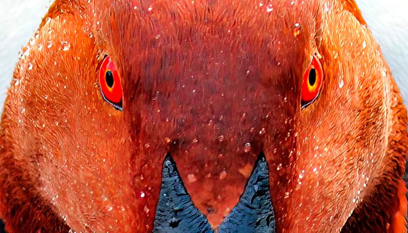 Look closer...!!!