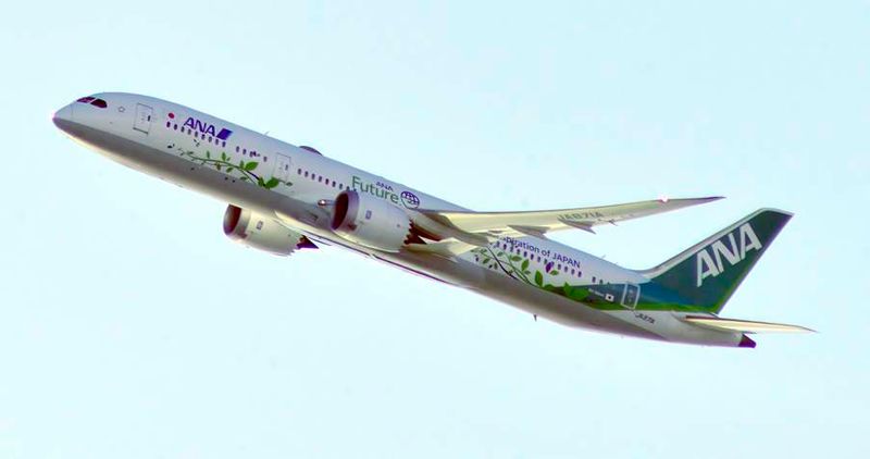 ANA, Boeing B-787-9, JA871A, Green Livery, Climbing From Haneda
