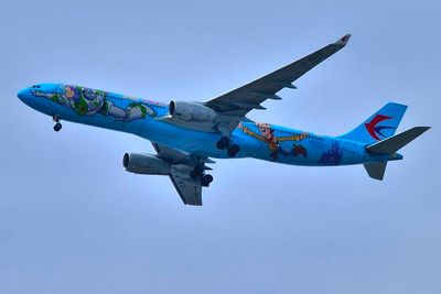 Toy Stories China Southern, Airbus A330-300, B-5976