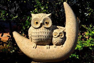 Owls