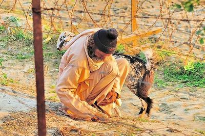 Man and His Goat, In Front of Taj 